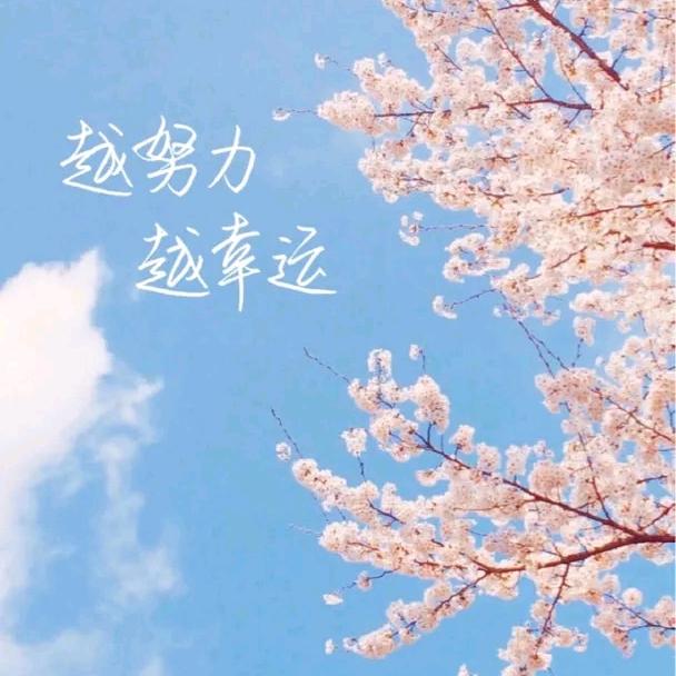 唯你不同