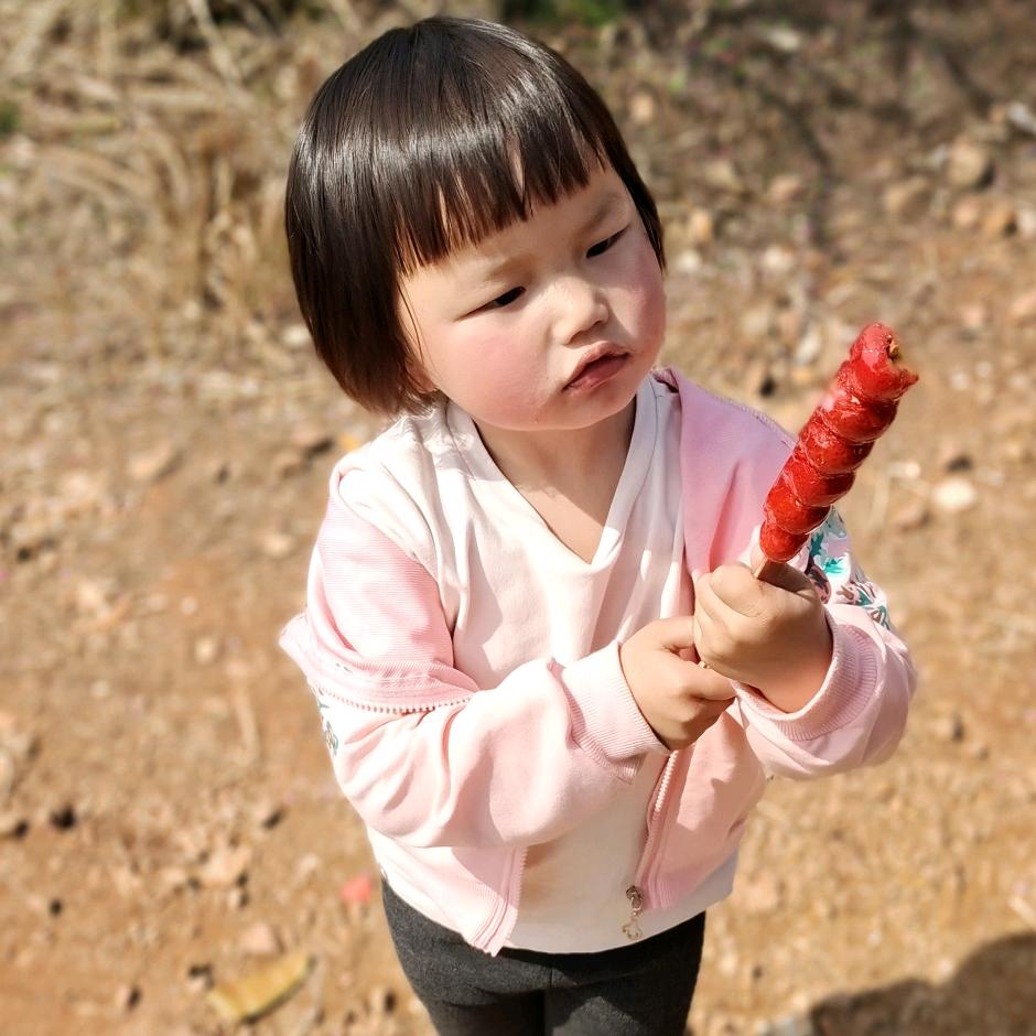 子欲何为