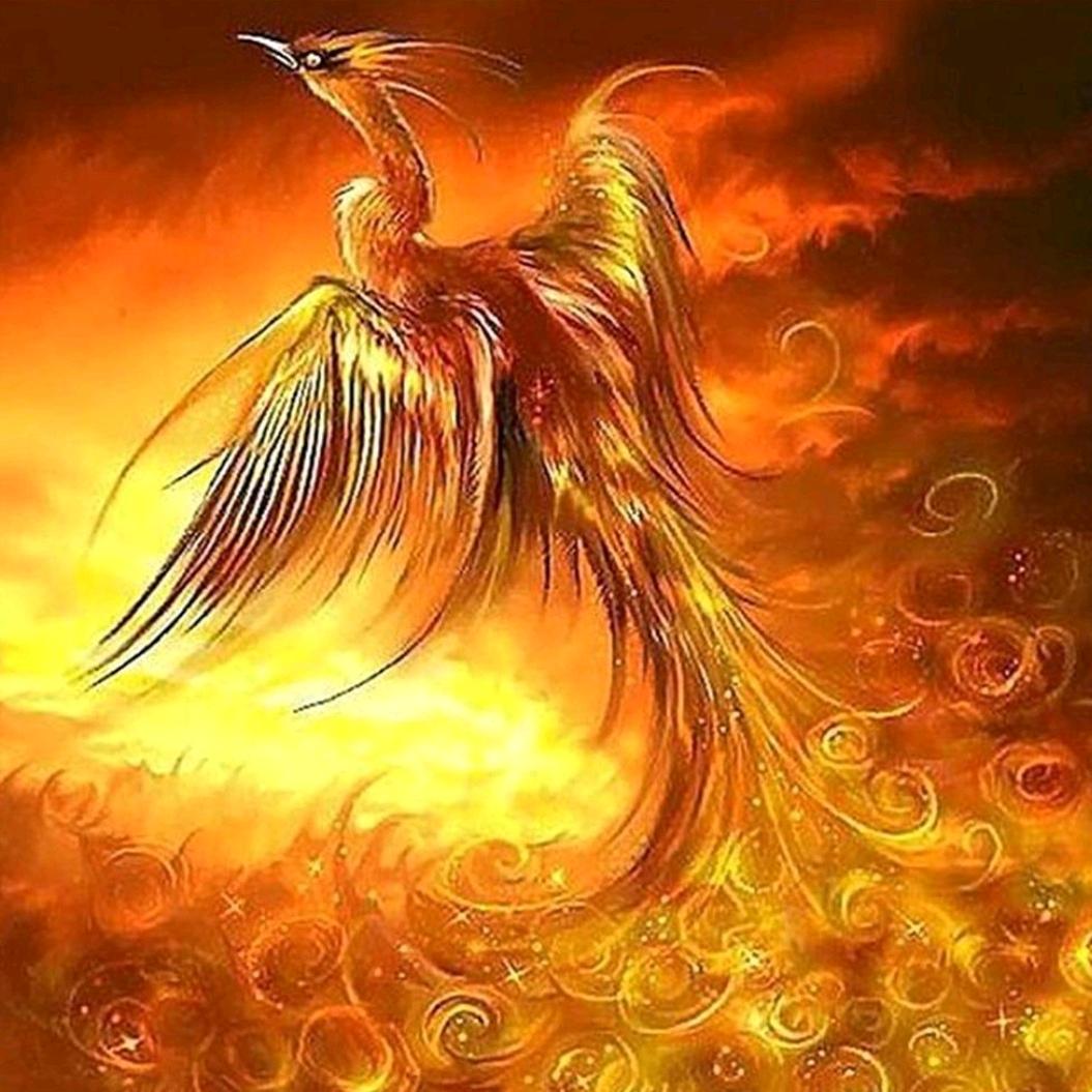 🔥火🔥凤🔥凰🔥