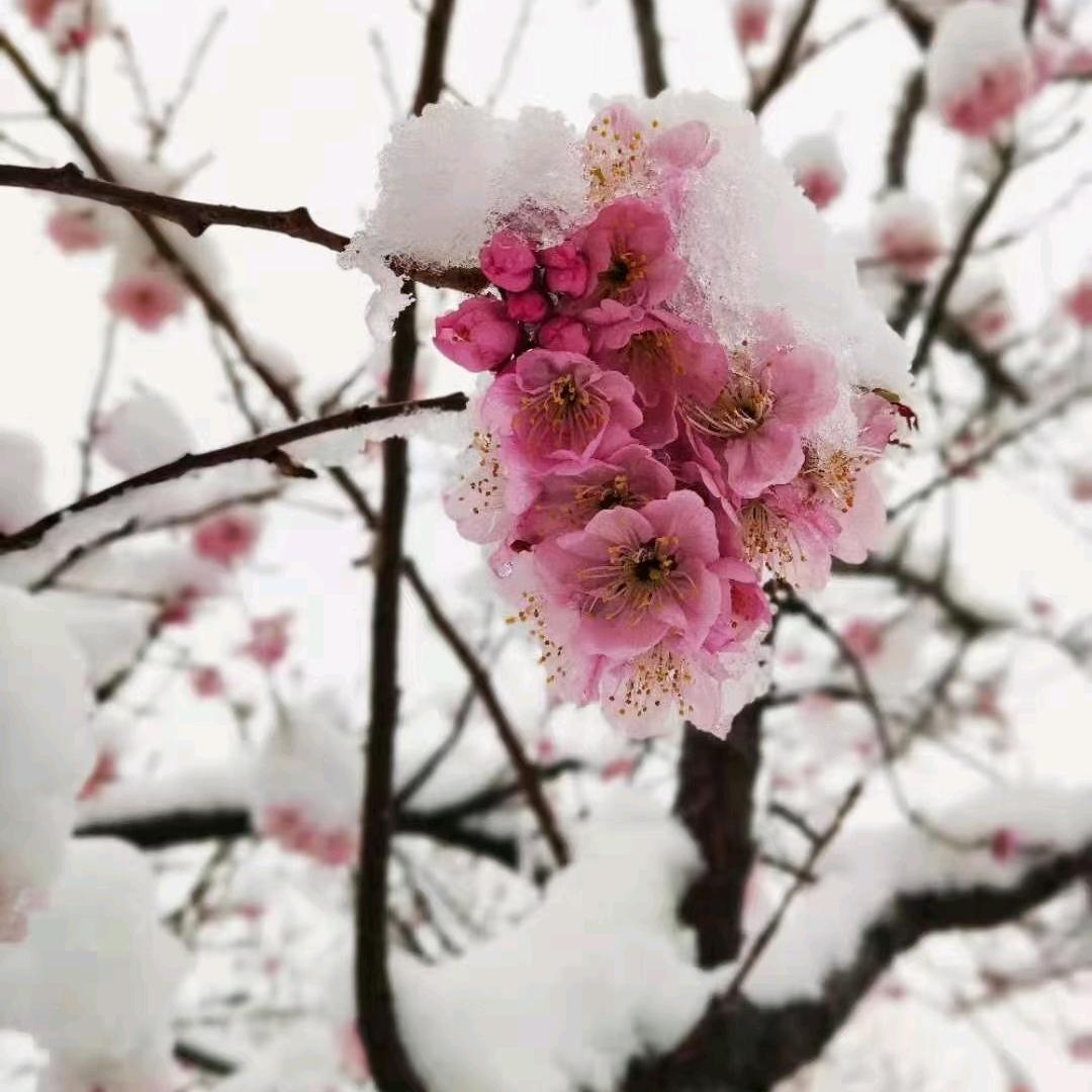 就不告诉你