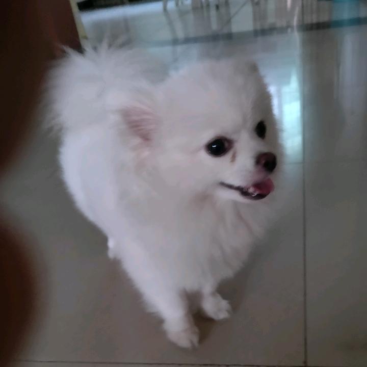 瑞琪