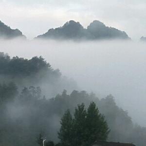 用户他乡遇故知