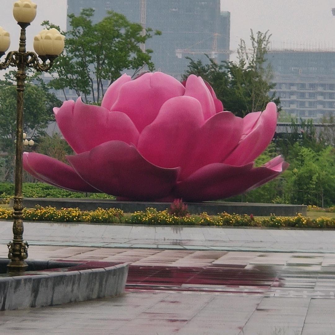 快乐每一天😊