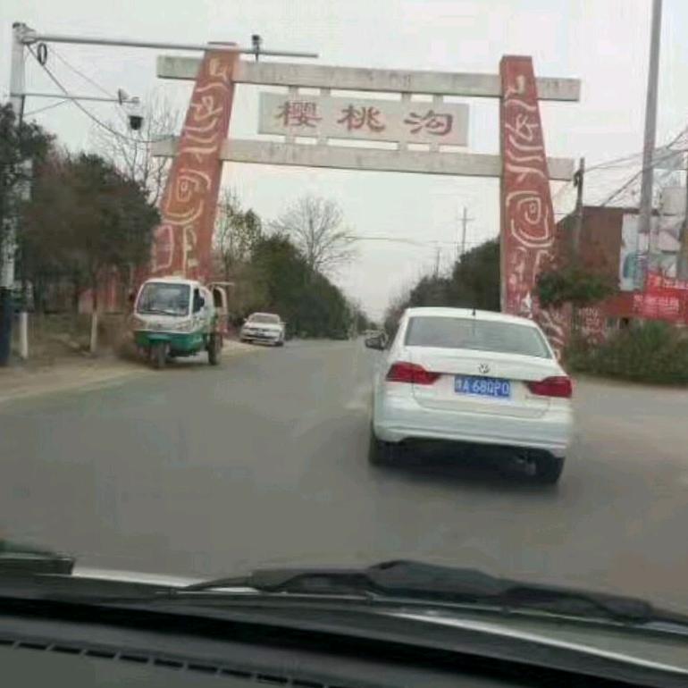 🍒单身小虎🍒