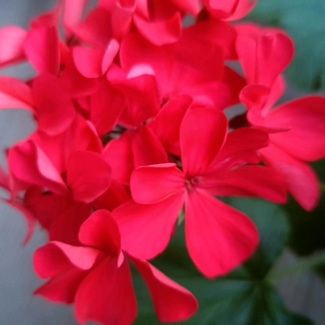 蕾硕塑料制品厂