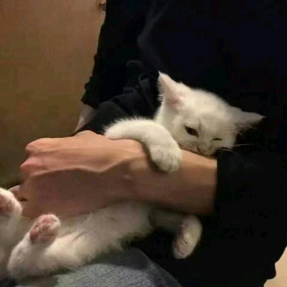 续一杯冰啤i