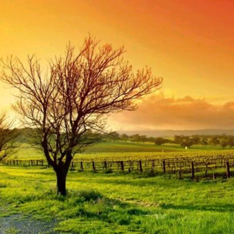 回头不再是从前