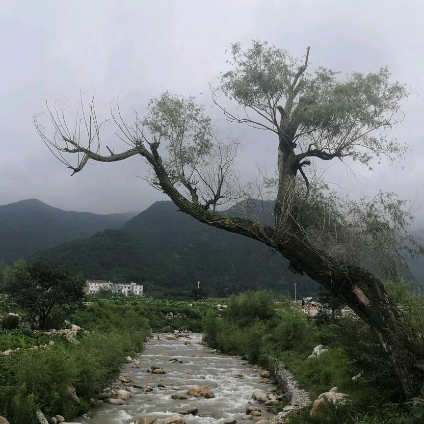 云在青天