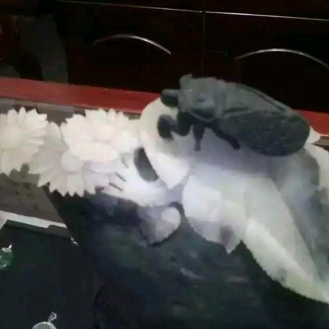 红花一号
