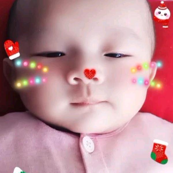 蒙古大草原轩轩