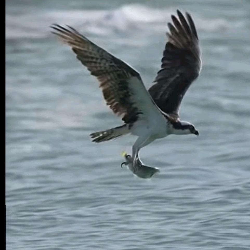 嘉兴回收,移门 阳台旧窗户,阳光房拆除
