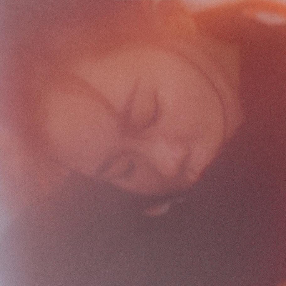 小奶狗🐶🐶🐶