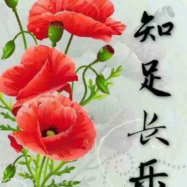 四中小佛爷头像