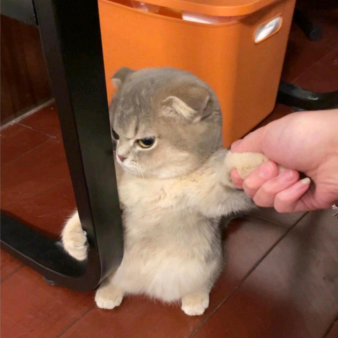 L onely