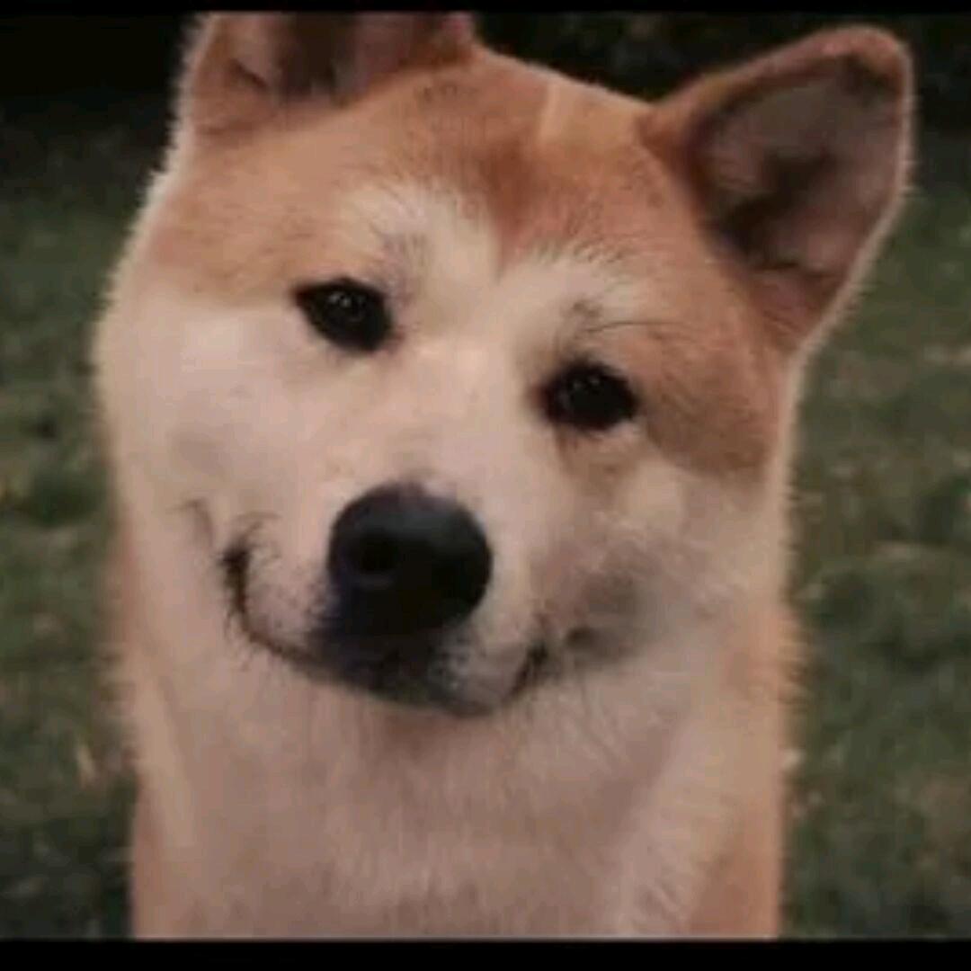 一叶知秋