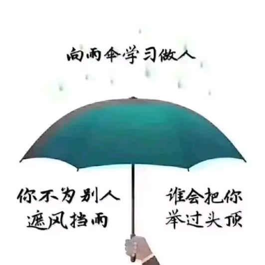 风雨人生路