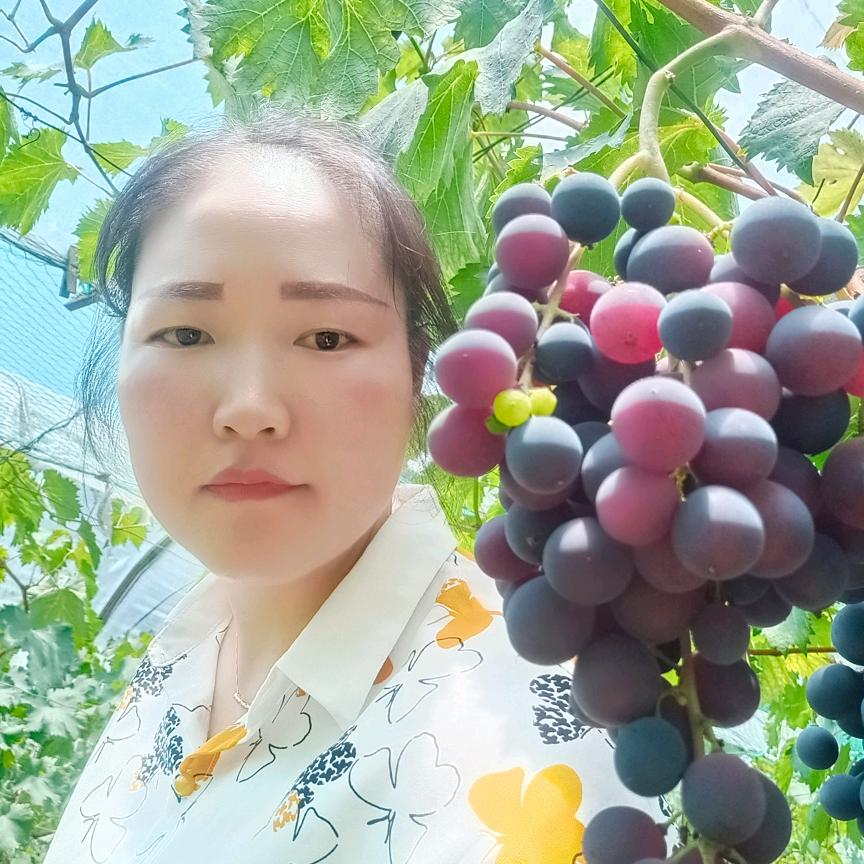 文灵欣短剧