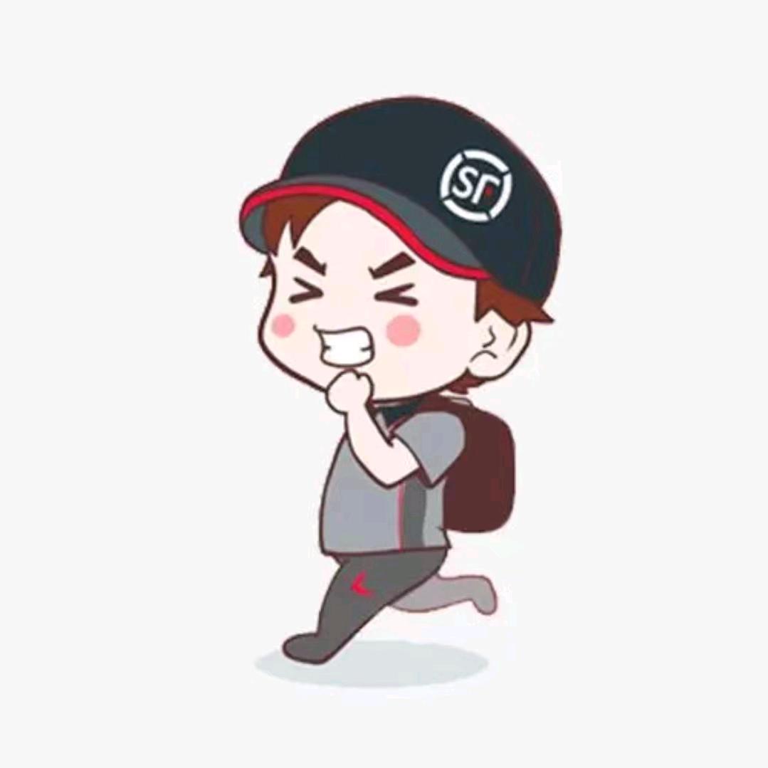 黄花顺丰快递