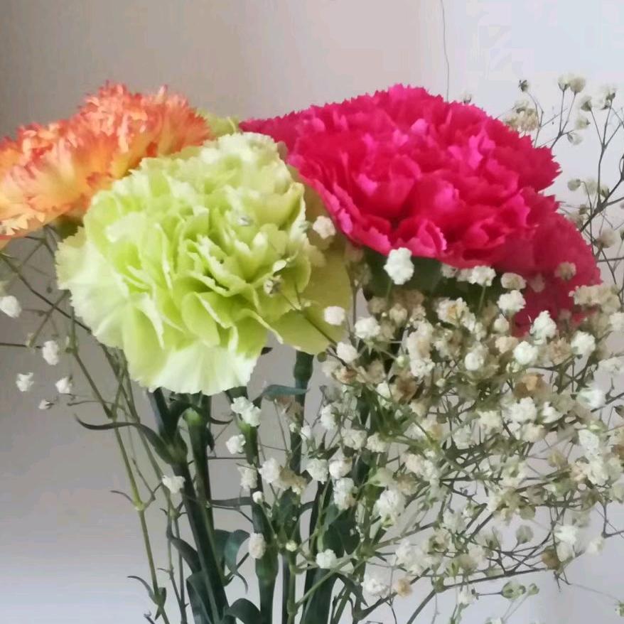 春暖花开