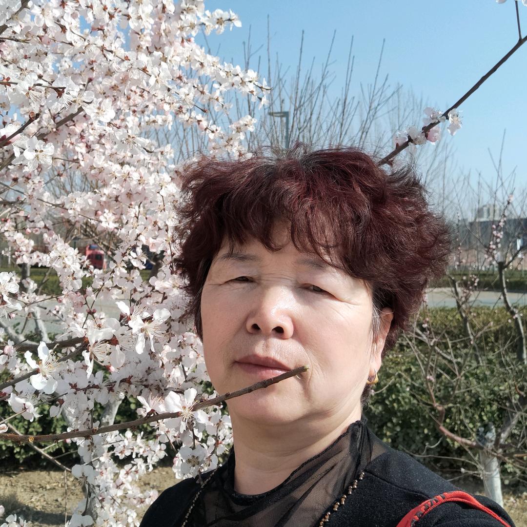 喆喆奶奶