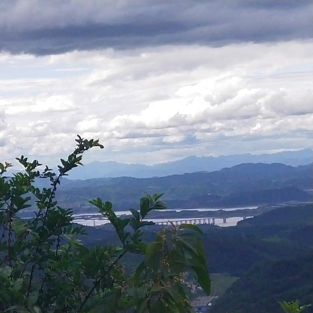 曼歌芳姐营养餐