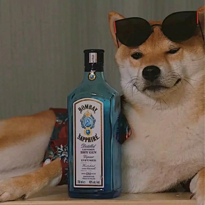 小海辰