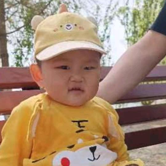 《大宝》天天见