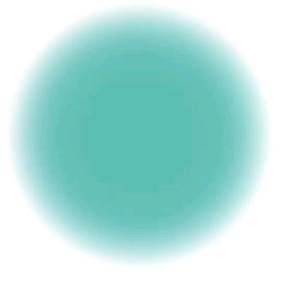 小杨。
