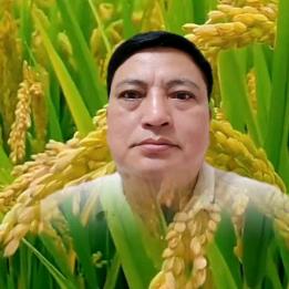 春叶新路中天顺联