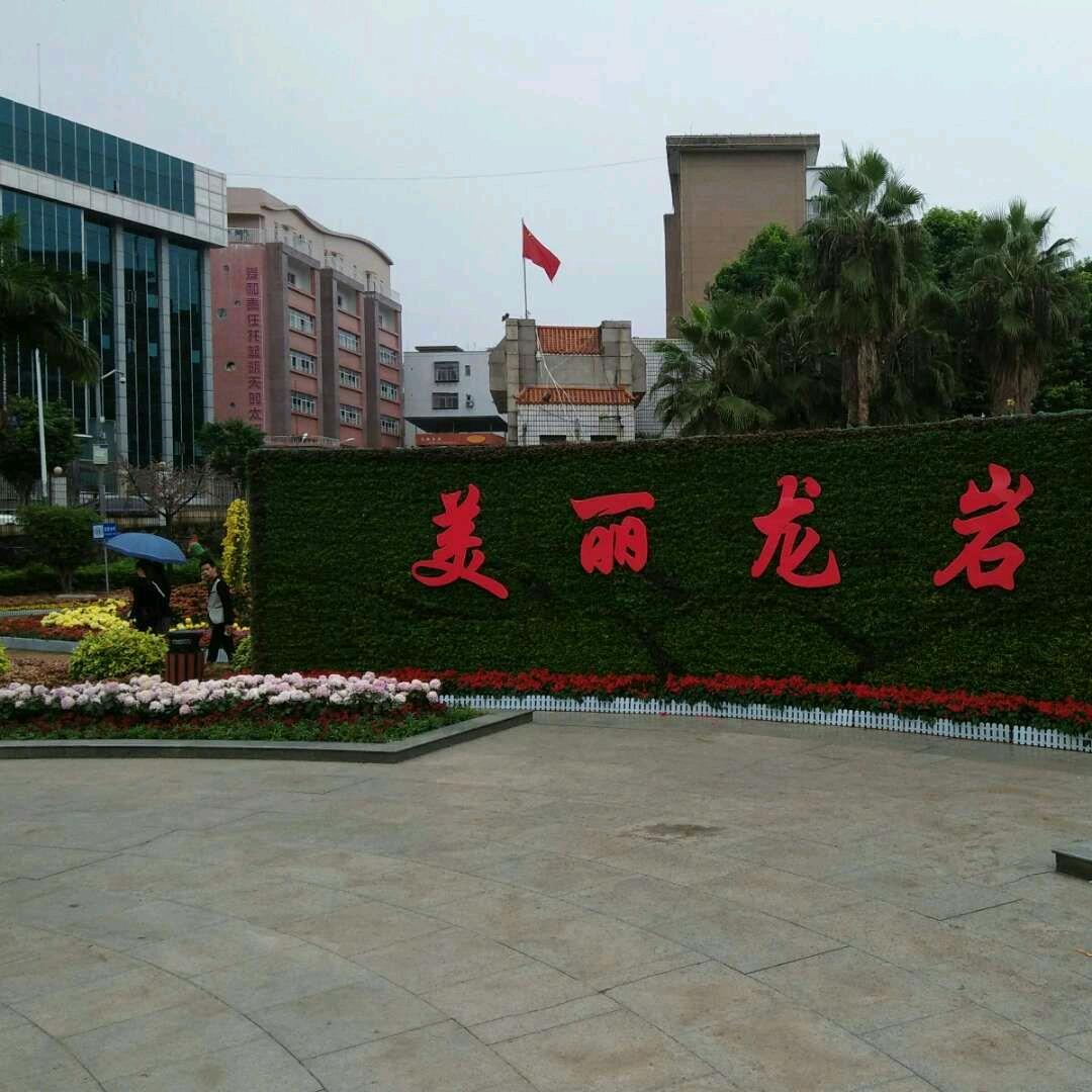 🇨🇳 锦上添花 🇨🇳