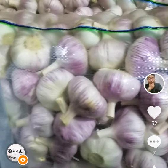 旭强蒜业