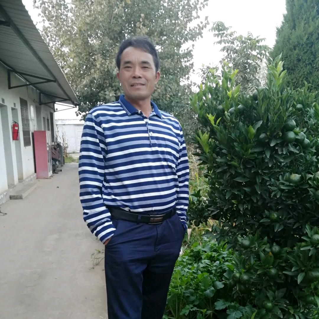 观赏