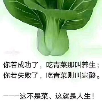 没有过不去的坎