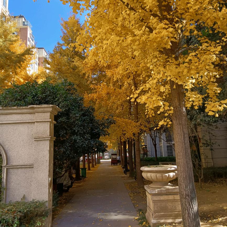 宁安新城刘兴国