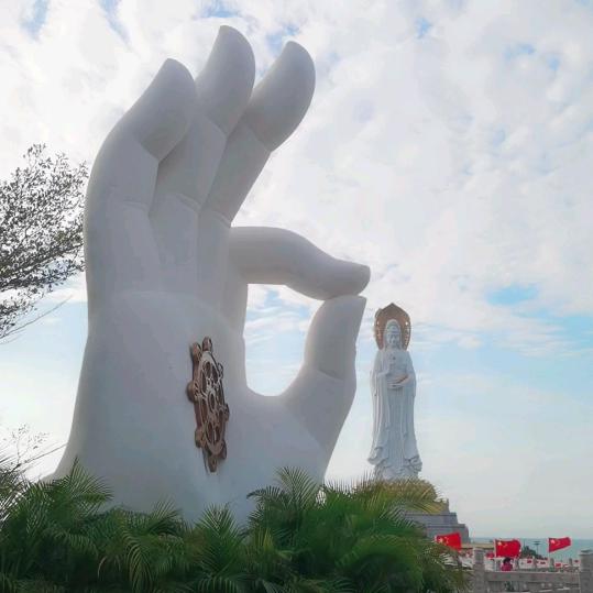 菊子姐