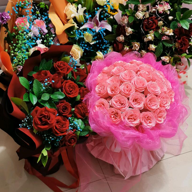 🎊樱花盛开🎊