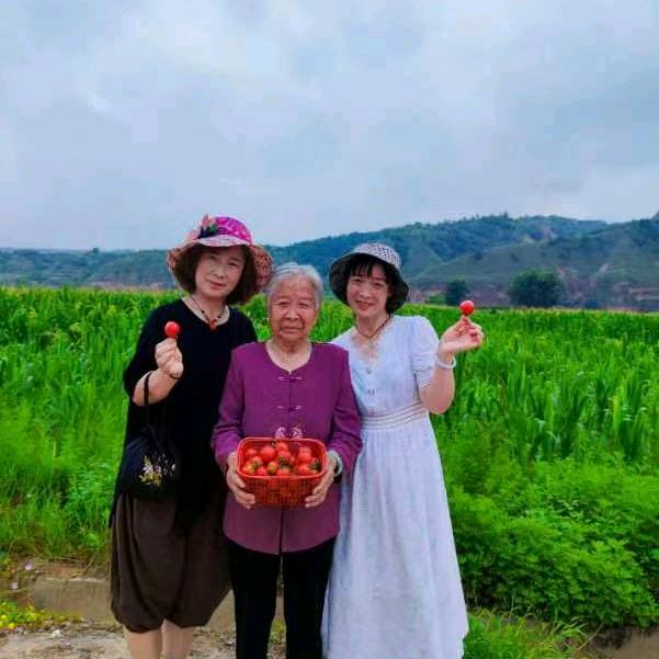 一帘幽梦