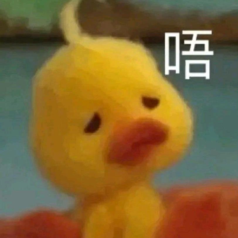 完美主义小肥宅