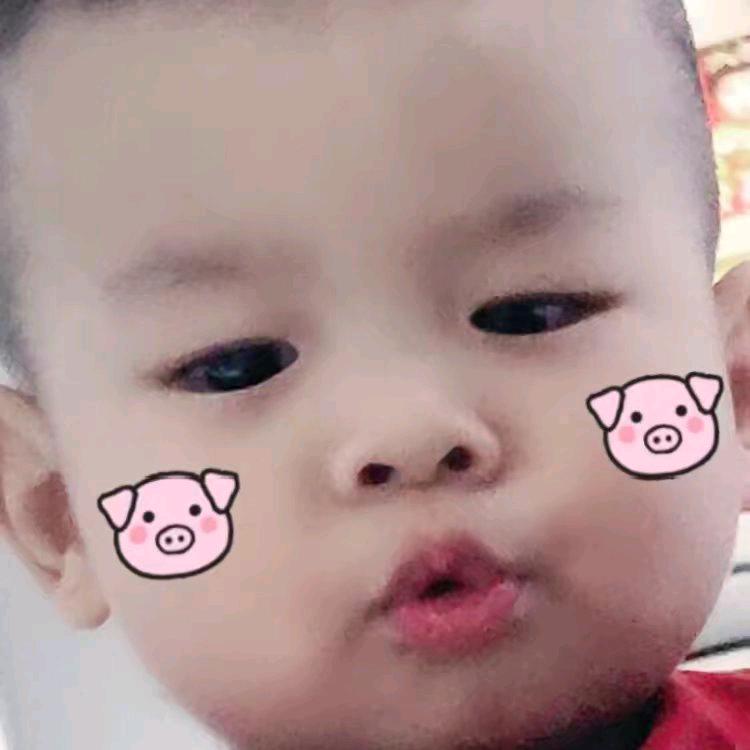 智颖宝贝