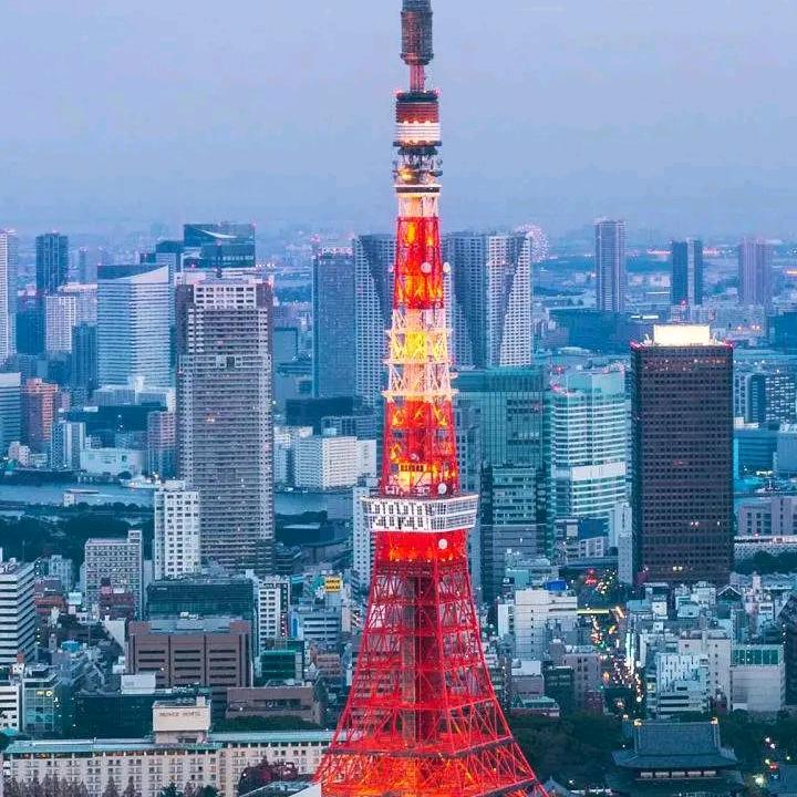 好月当空₍˄·͈༝·͈˄*₎◞ ̑̑