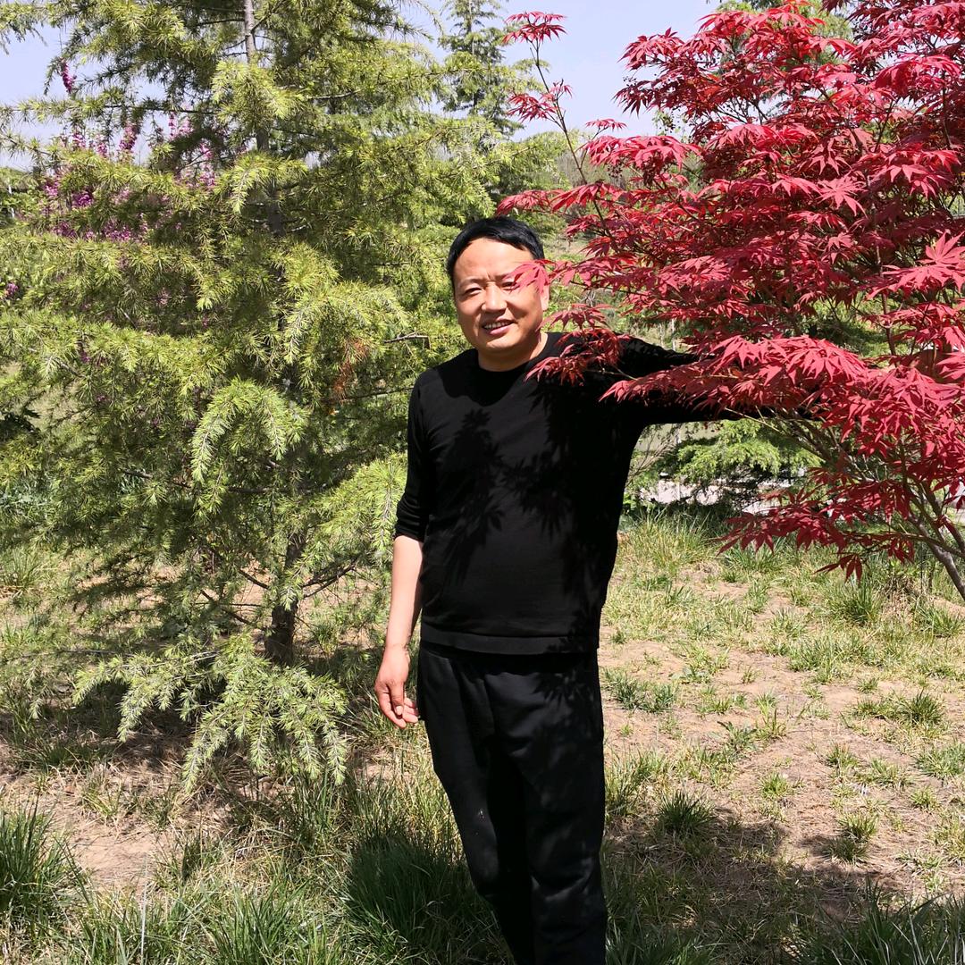 糊涂做人