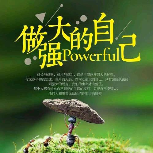 亮姐🙄᭄😎᭄😂᭄🤪᭄