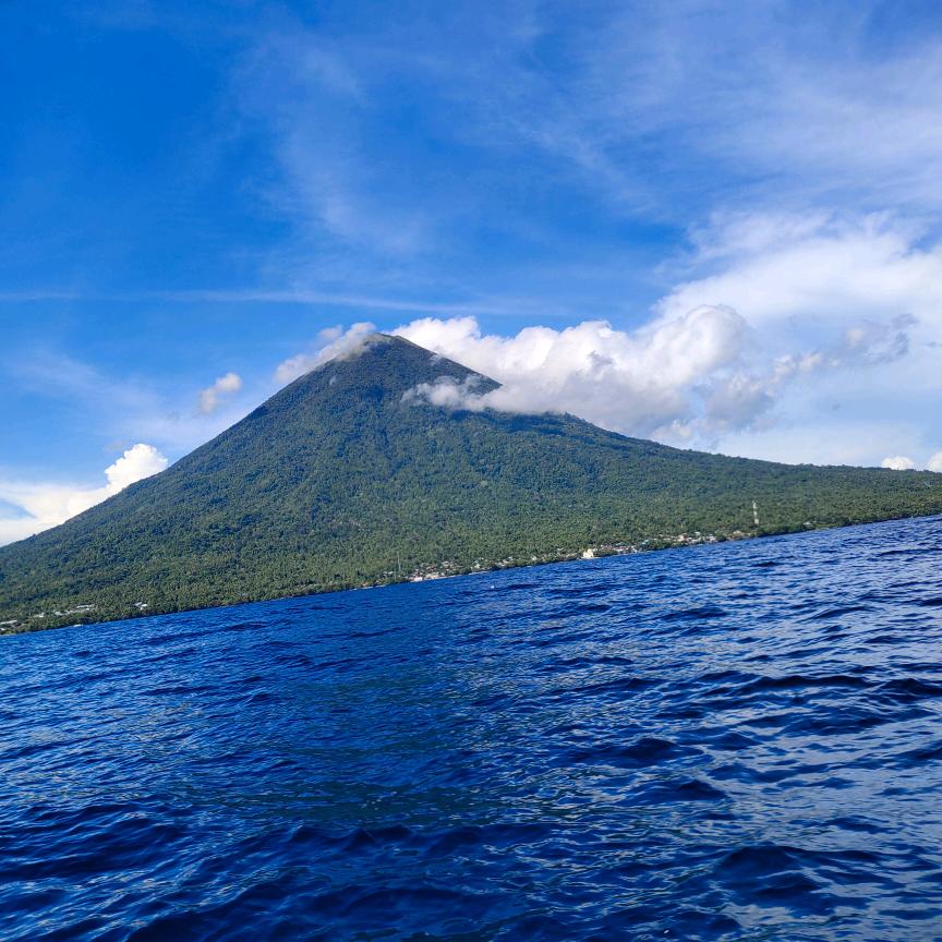 ︷Οo.不離芣(fu）弃