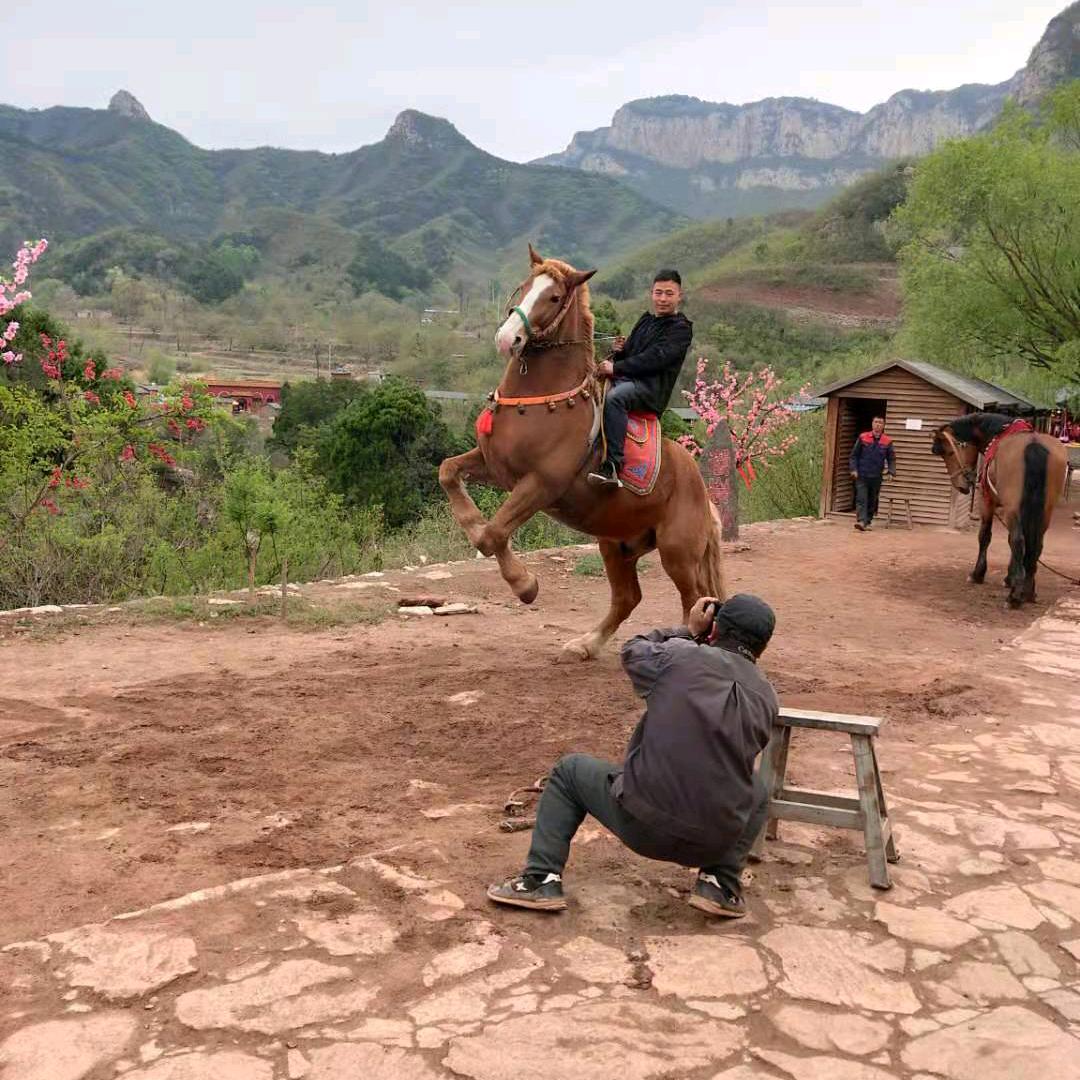 老虎传统板面,香的自然!