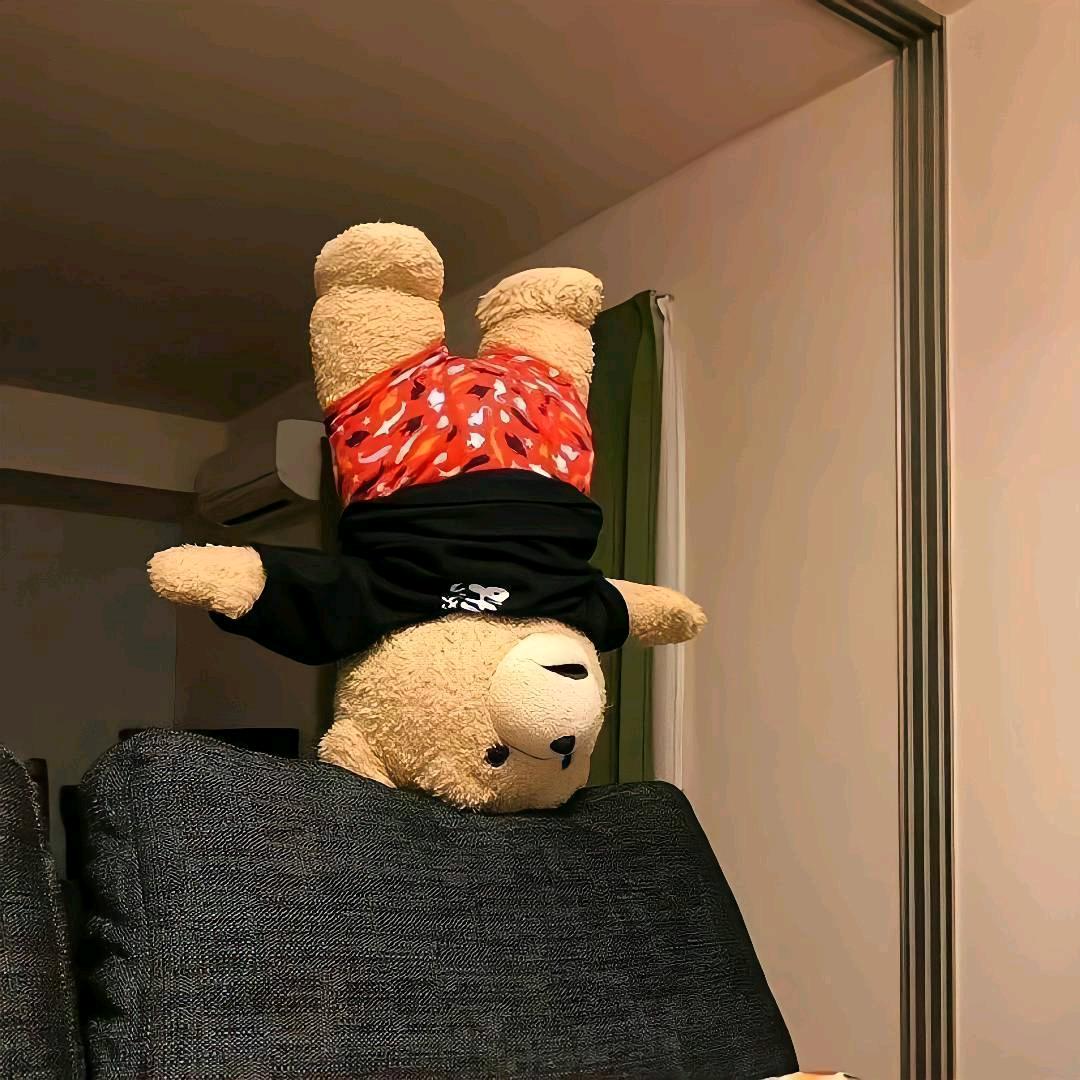 我睡觉的时候不困💤