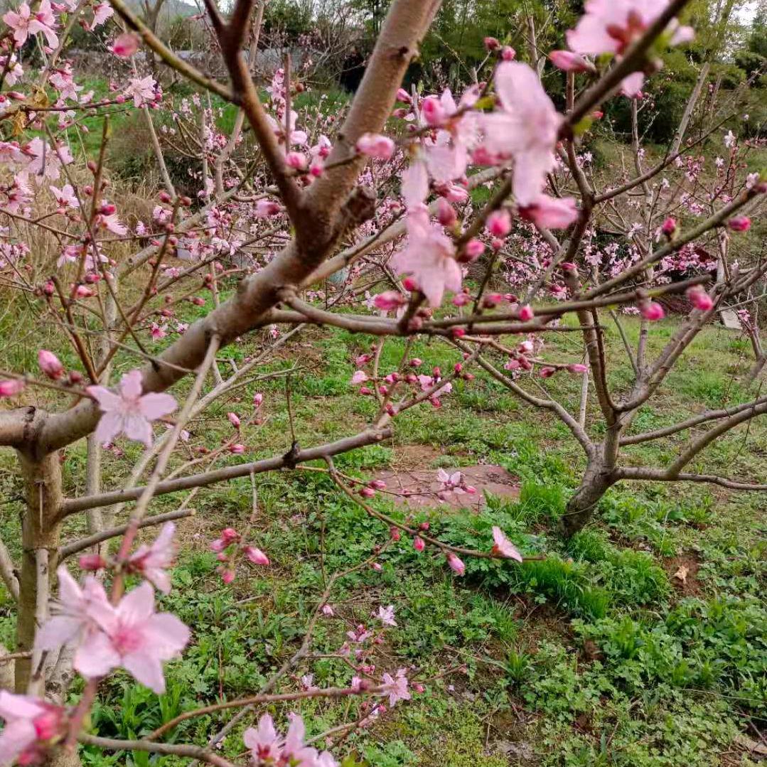 🌈杨帆启航🌈