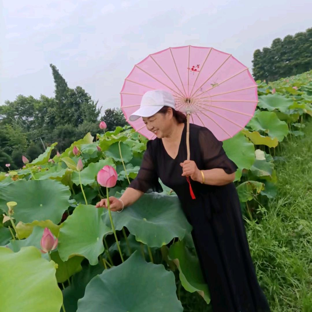田三姐585