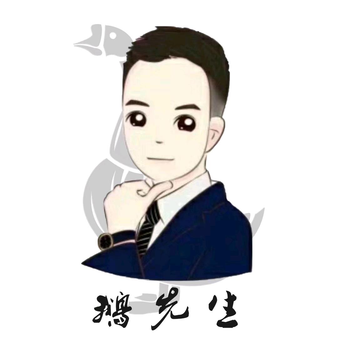 璐姐老鹅汤（鹅先生）