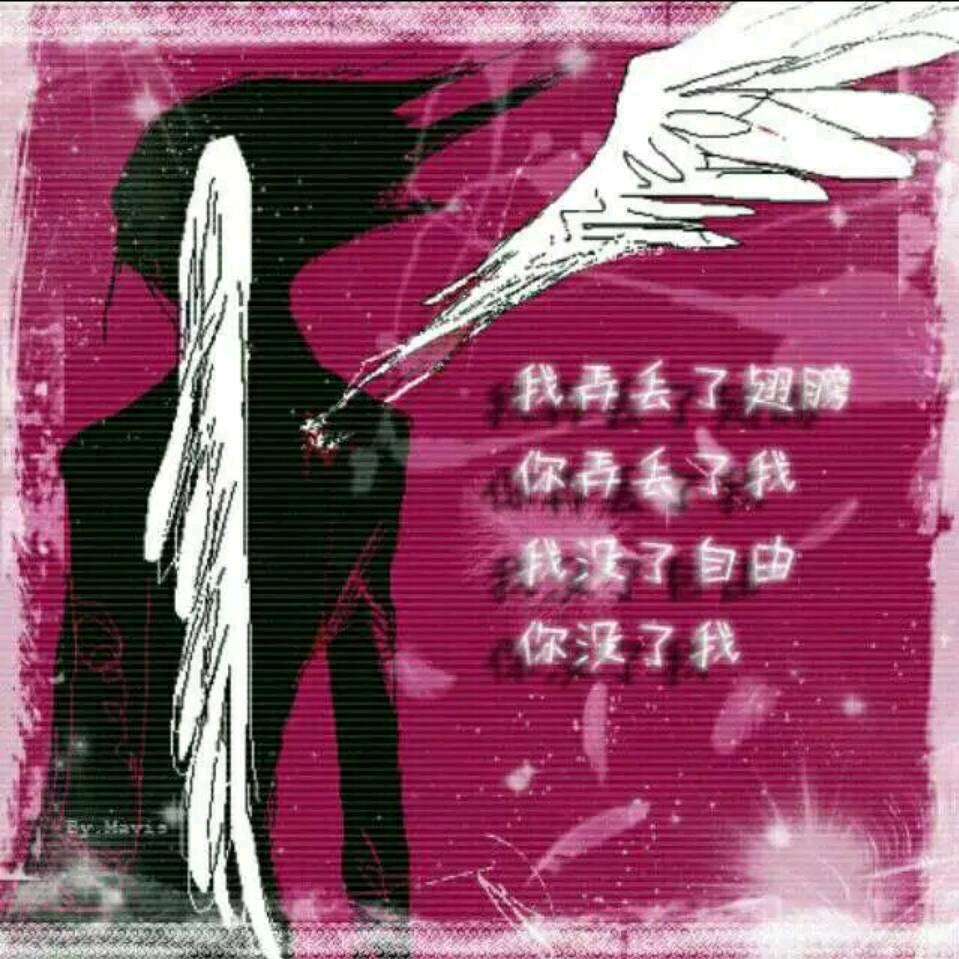 夜凉✘遗梦