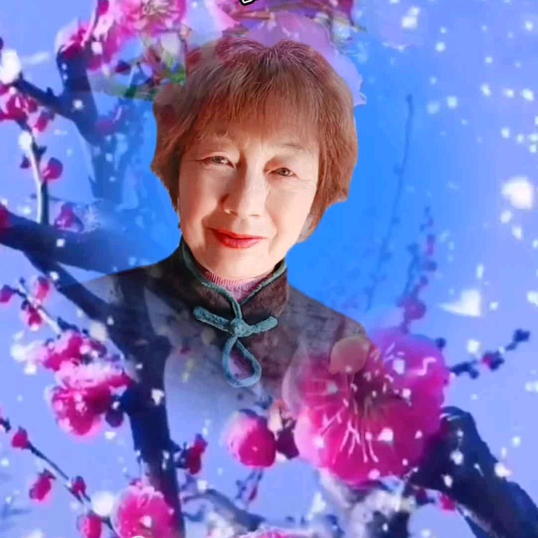彩云姐